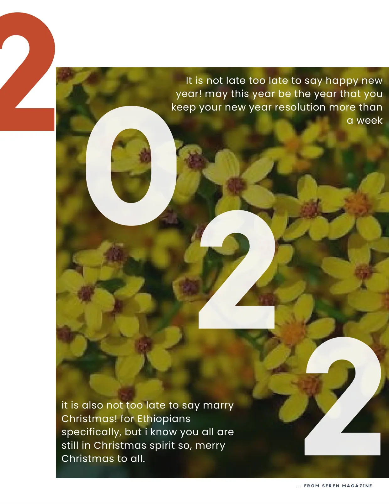 Seren Magazine Issue 4, page 24 of 25