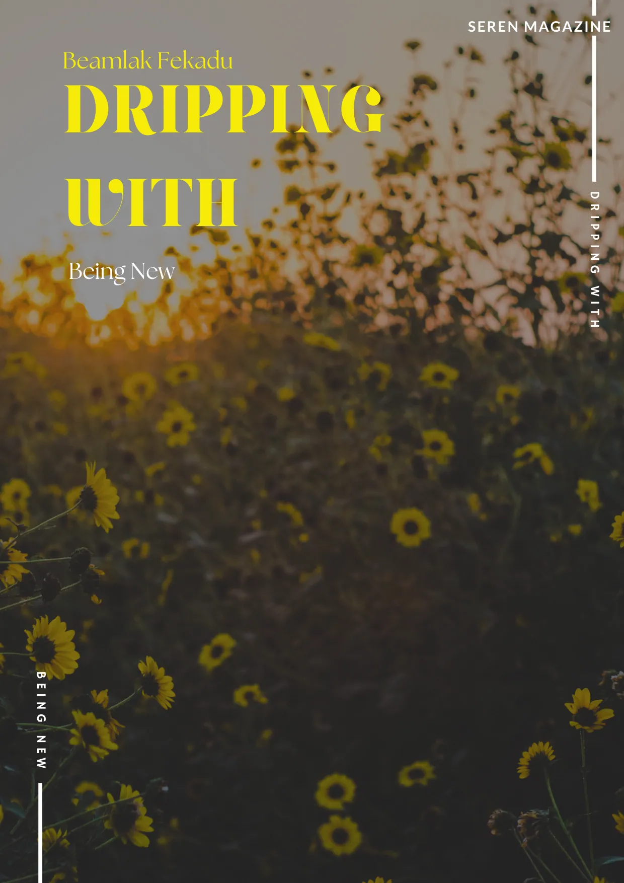 Seren Magazine Issue 9, page 4 of 27