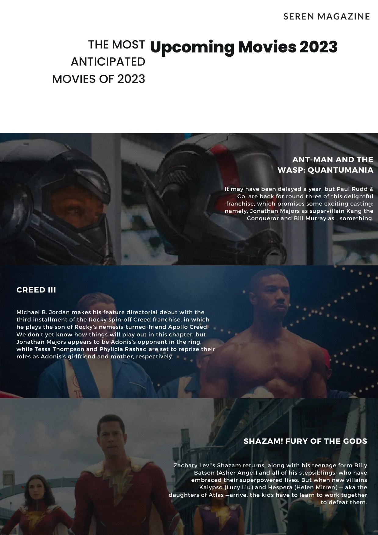 Seren Magazine Issue 9, page 25 of 27